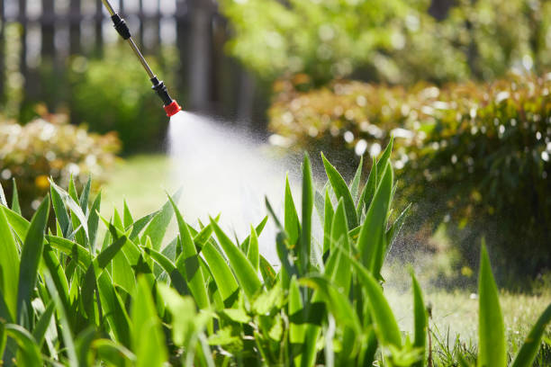 24/7 Emergency Mosquito Control experts in Auburn, IN