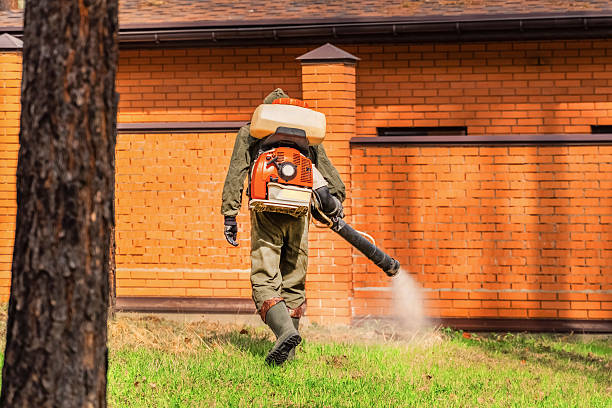 Top rated local Mosquito Control specialists in Auburn, IN